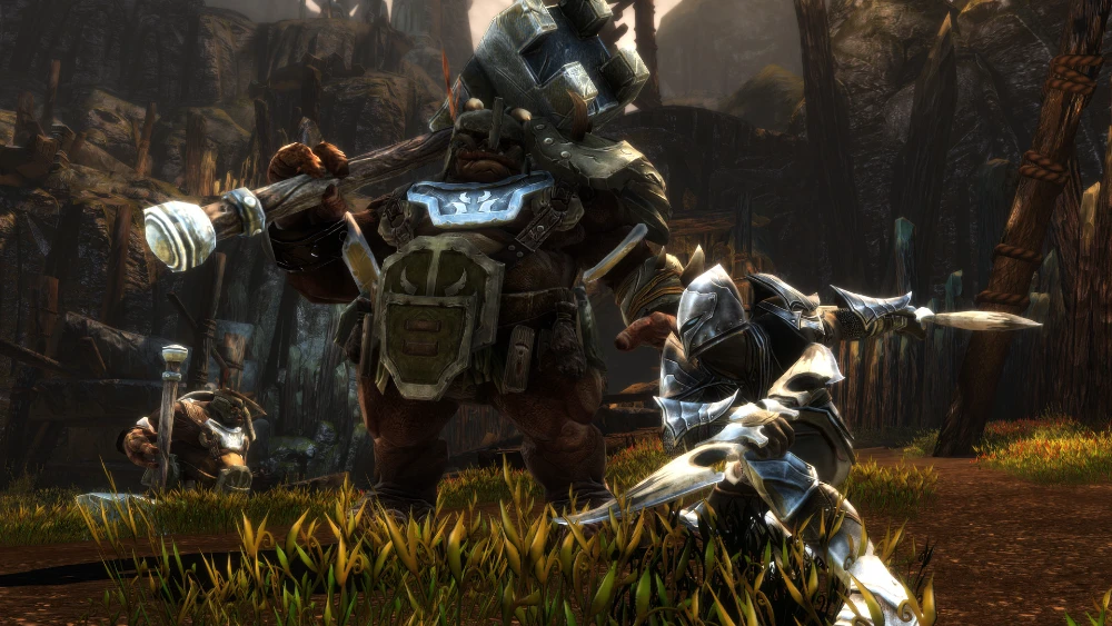 Kingdoms of Amalur: Re-Reckoning Captura de pantalla 2