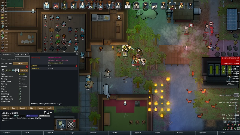 RimWorld Screenshot 1